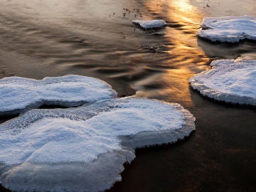 Las medusas del lago Kabakan