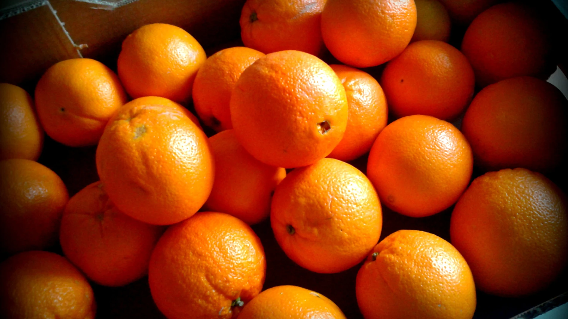 Naranjas ecológicas Naranjas ecológicas