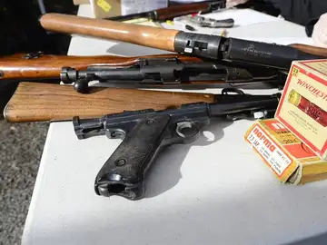 El senado eleva la edad mínima para comprar un arma El senado eleva la edad mínima para comprar un arma