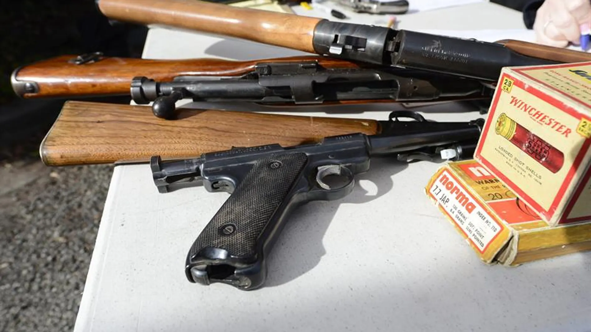 El senado eleva la edad mínima para comprar un arma El senado eleva la edad mínima para comprar un arma