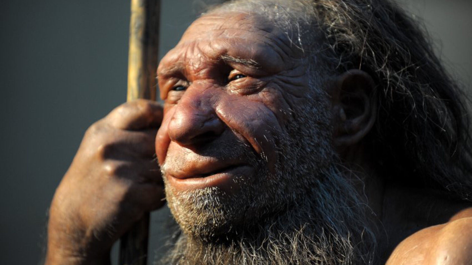 Crear ADN Neanderthal podr&iacute;a ser posible
