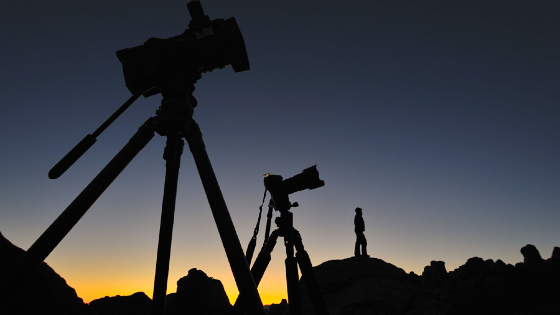 El fot&oacute;grafo Marsel Van Oosten