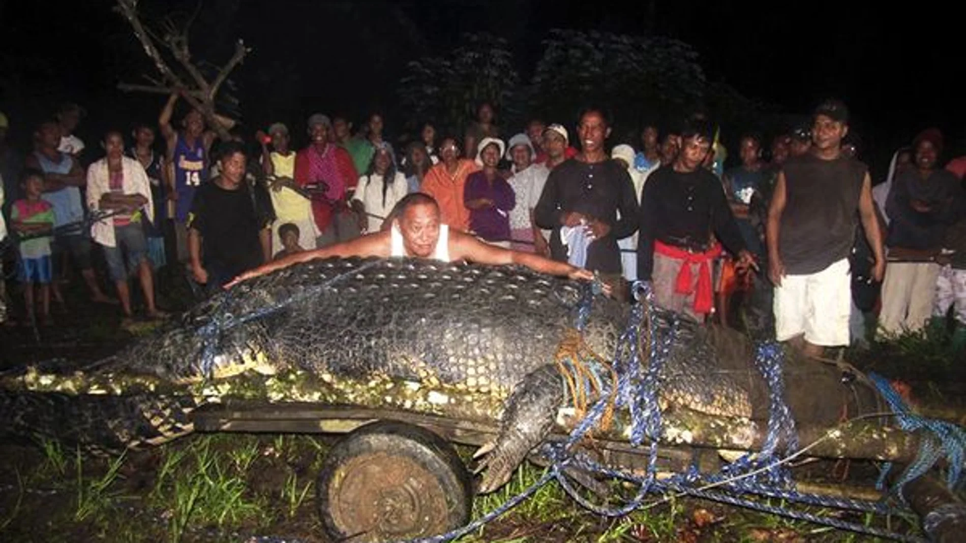 Lolong, el cocodrilo cautivo más grande del mundo Lolong, el cocodrilo cautivo más grande del mundo
