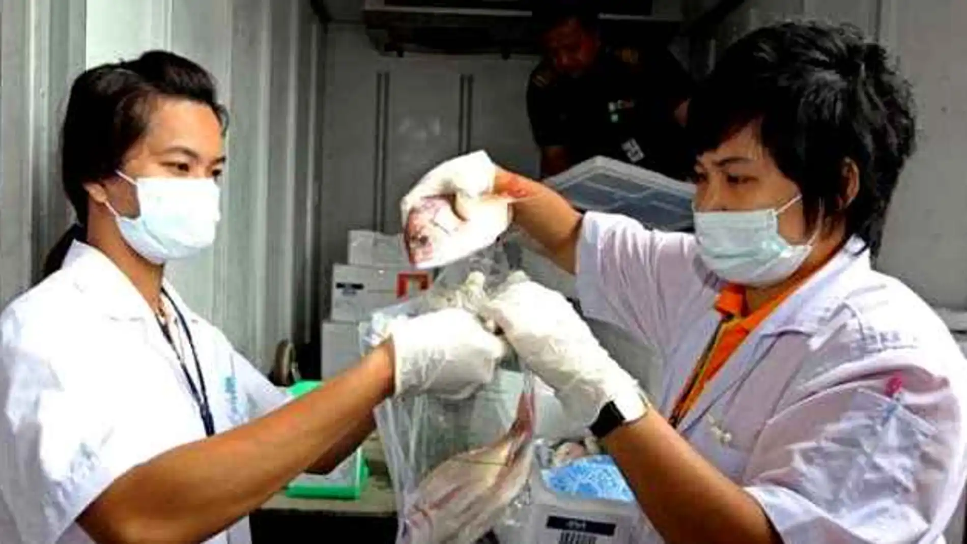 Detectan niveles radiactivos Detectan niveles radiactivos