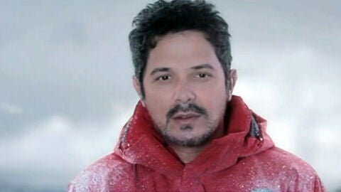 Varios famosos colaboran con Greenpeace