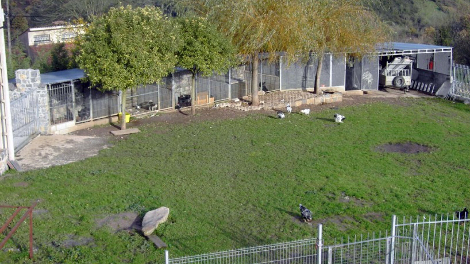 Ofrecen trabajo en una finca a cambio de alojamiento y manutanción