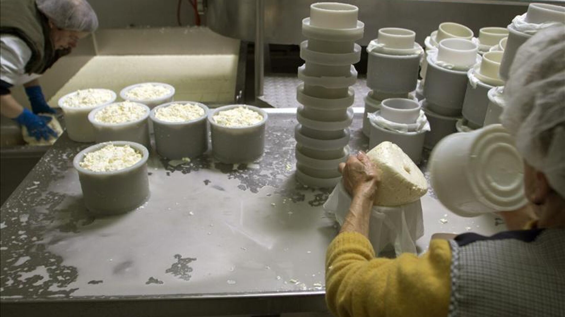 Fabricaci&oacute;n de productos l&aacute;cteos.