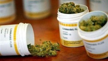 Cannabis terapéutico comercializado en otros países europeos