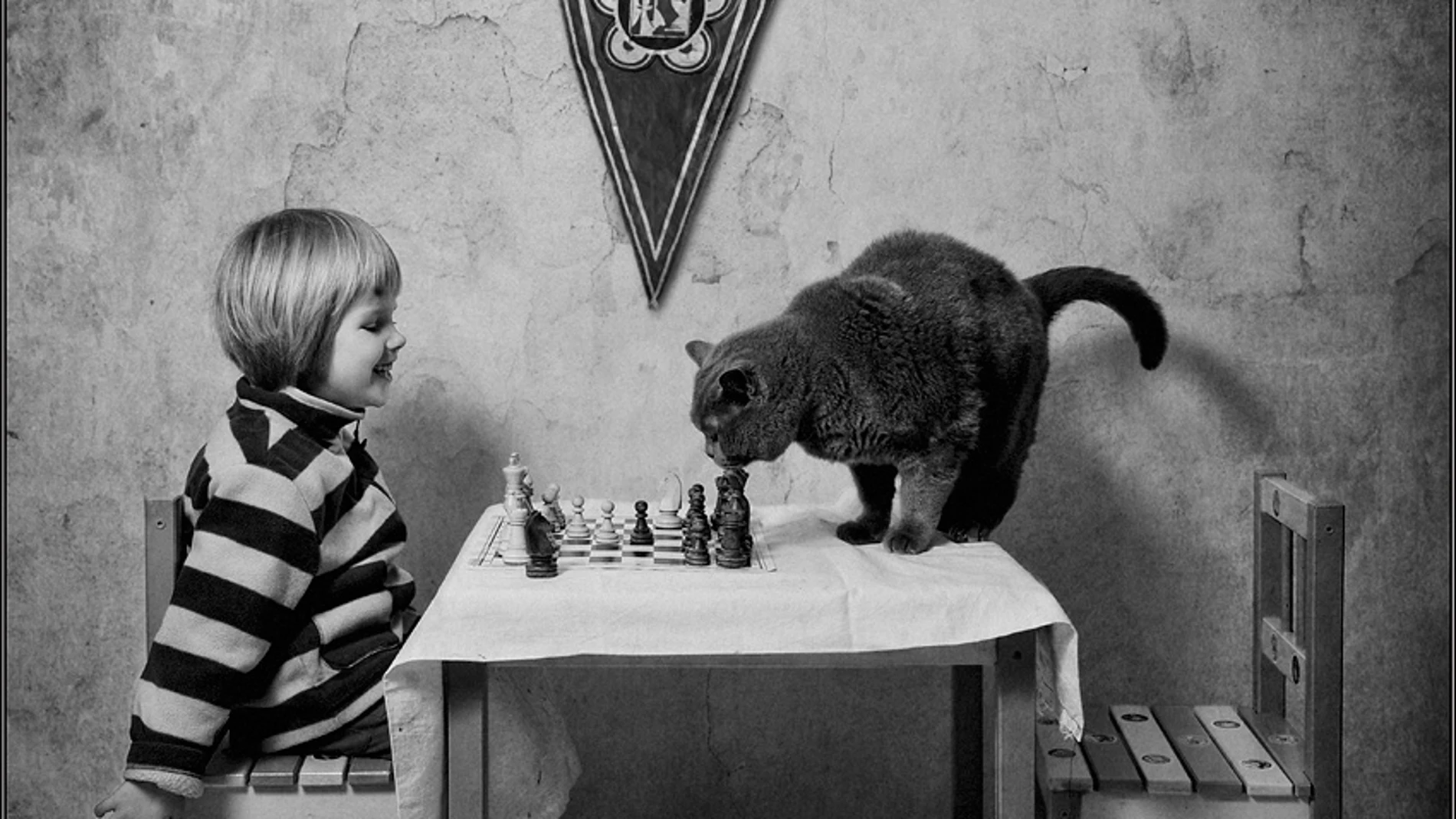 Jugando al ajedrez Jugando al ajedrez