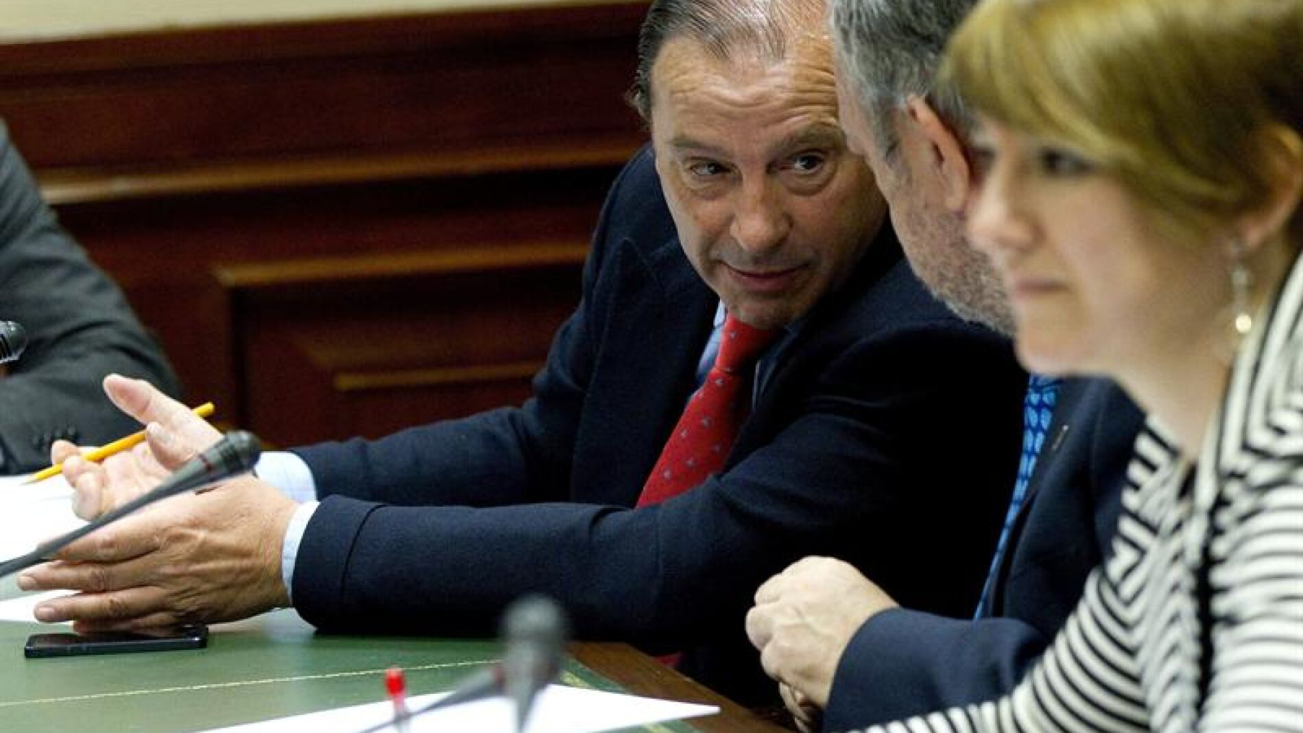 El portavoz de la Comisi&oacute;n de Econom&iacute;a, Vicente Mart&iacute;nez-Pujalte