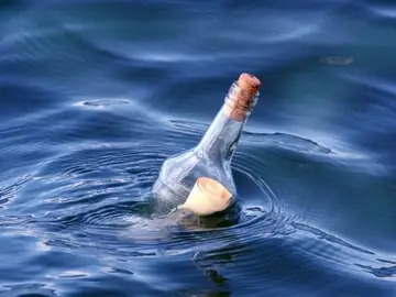 El mensaje en una botella El mensaje en una botella