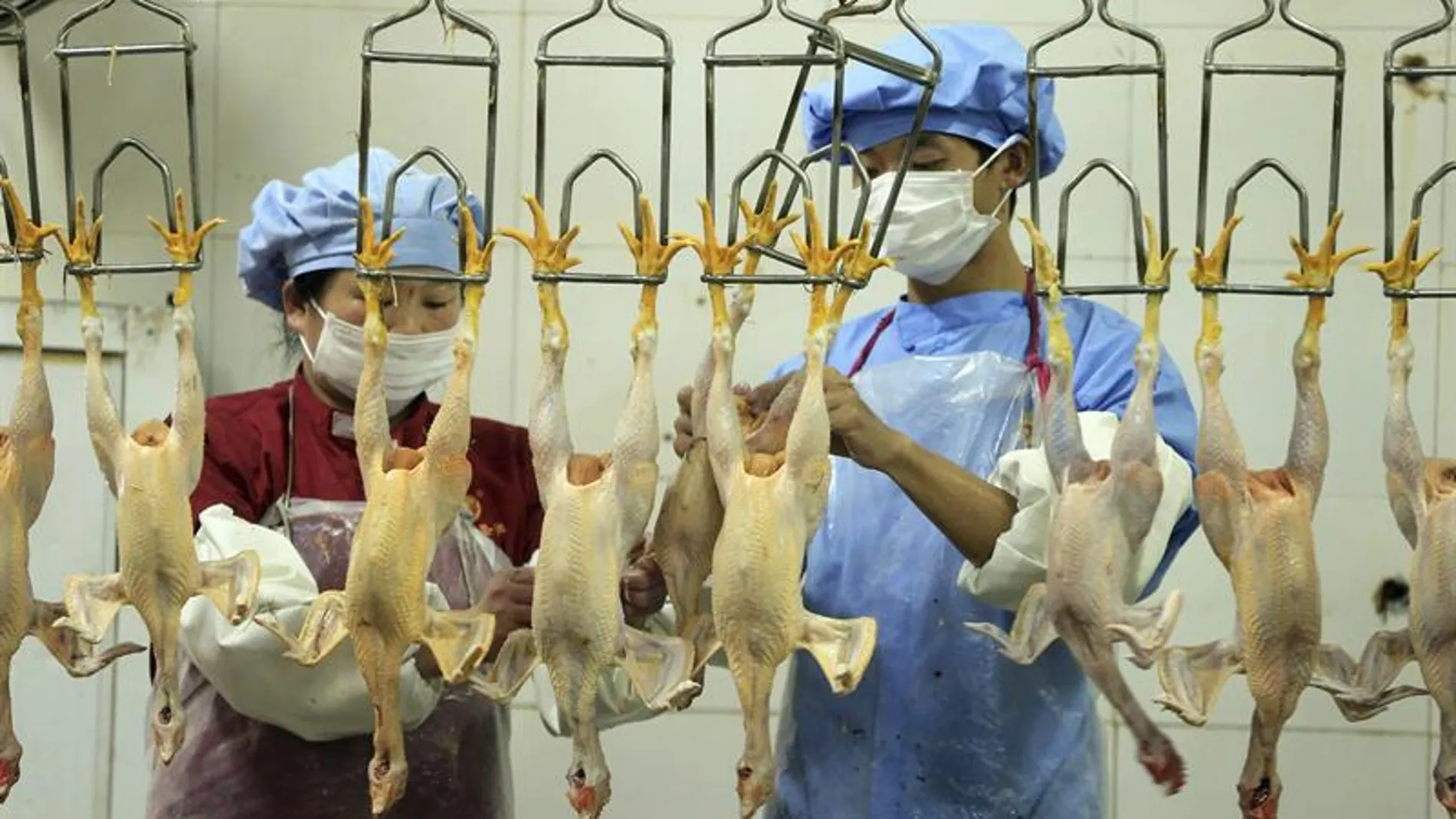 Empleados de un matadero de pollos en China Empleados de un matadero de pollos en China