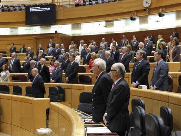 Sesión de control en el Senado