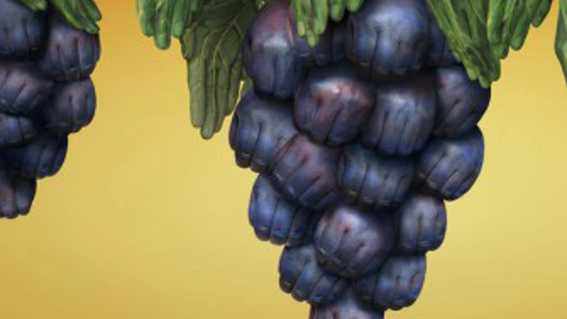 Un racimo de uvas Un racimo de uvas