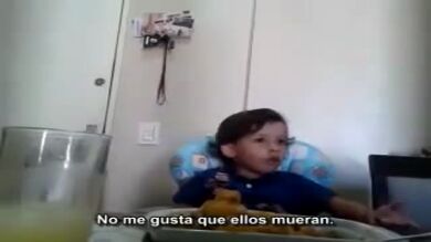  Un niño brasileño explica a su madre por qué no quiere comer animales y esta llora de la emoción