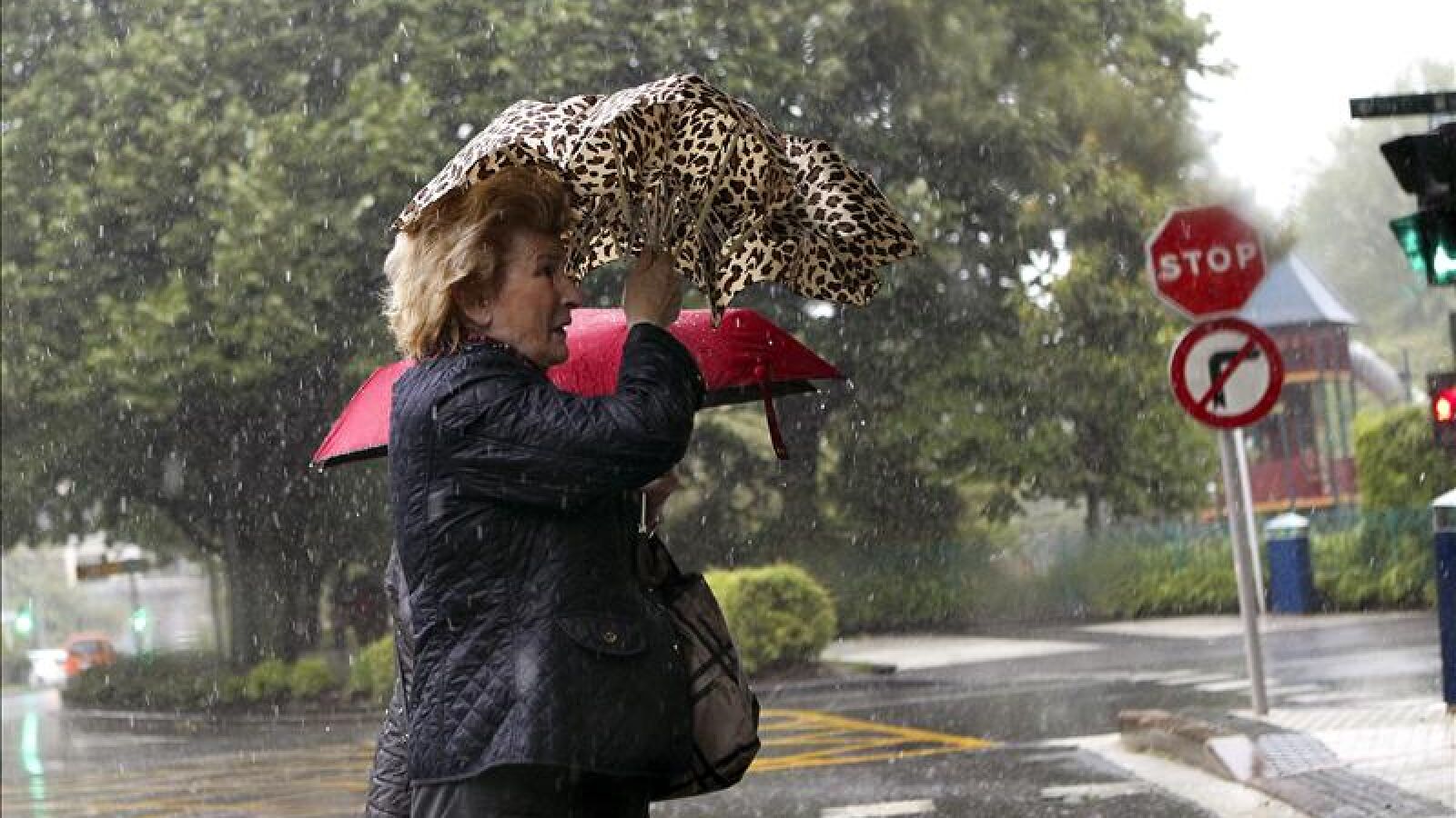 Tormentas localmente fuertes en el interior del tercio norte peninsular