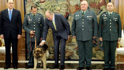 Ajax junto a Don Juan Carlos