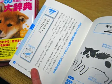 Diccionario japonés para entender a los animales Diccionario japonés para entender a los animales