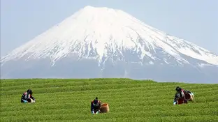 Monte Fuji, patrimonio de la Humanidad Monte Fuji, patrimonio de la Humanidad
