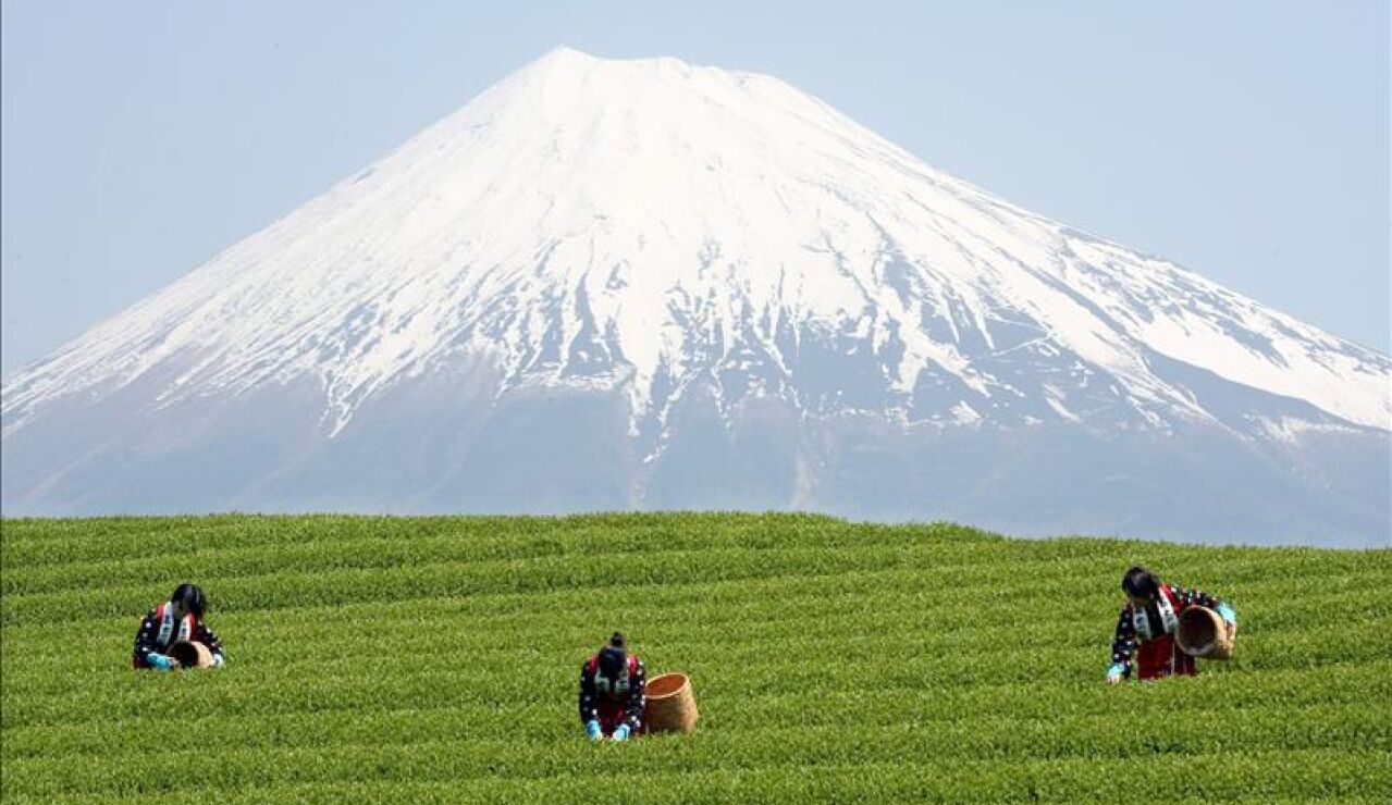 Monte Fuji, patrimonio de la Humanidad