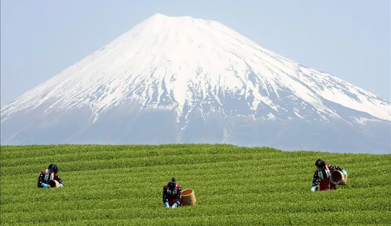 Monte Fuji, patrimonio de la Humanidad