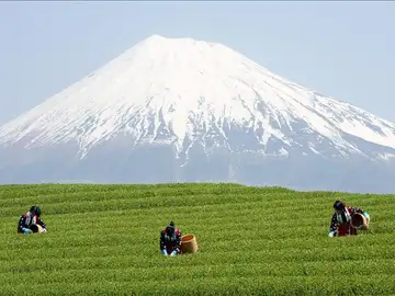 Monte Fuji, patrimonio de la Humanidad Monte Fuji, patrimonio de la Humanidad