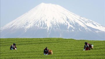 Monte Fuji, patrimonio de la Humanidad