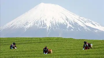 Monte Fuji, patrimonio de la Humanidad Monte Fuji, patrimonio de la Humanidad