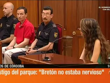 Declaración de los testigos que vieron a José Bretón en el parque: Bretón no estaba nervioso Declaración de los testigos que vieron a José Bretón en el parque: Bretón no estaba nervioso