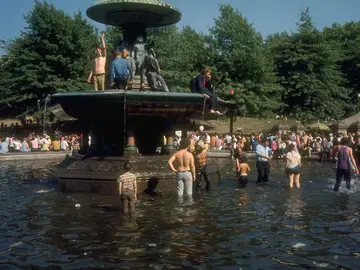 Fuente para pasar el calor Fuente para pasar el calor