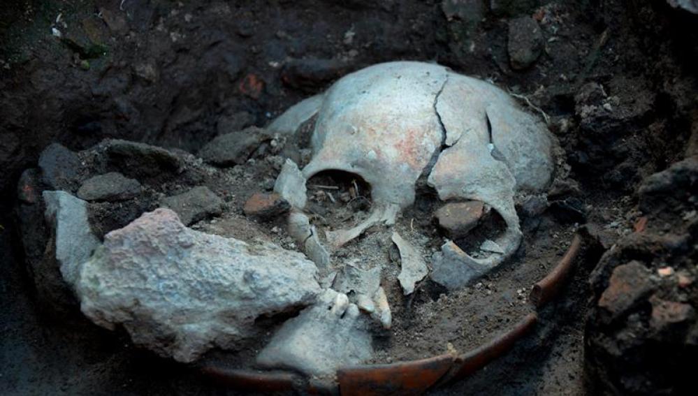 Cráneo de un hombre decapitado hace 500 años