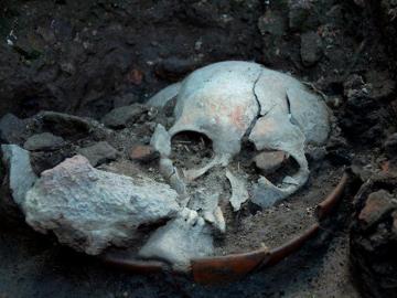 Cráneo de un hombre decapitado hace 500 años