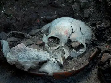 Cráneo de un hombre decapitado hace 500 años Cráneo de un hombre decapitado hace 500 años