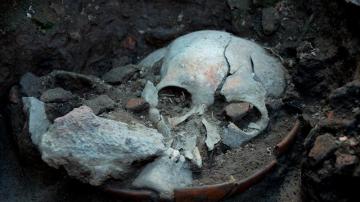 Cráneo de un hombre decapitado hace 500 años