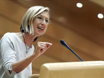 Rosa Díez se dirige a los diputados en el Senado Rosa Díez se dirige a los diputados en el Senado