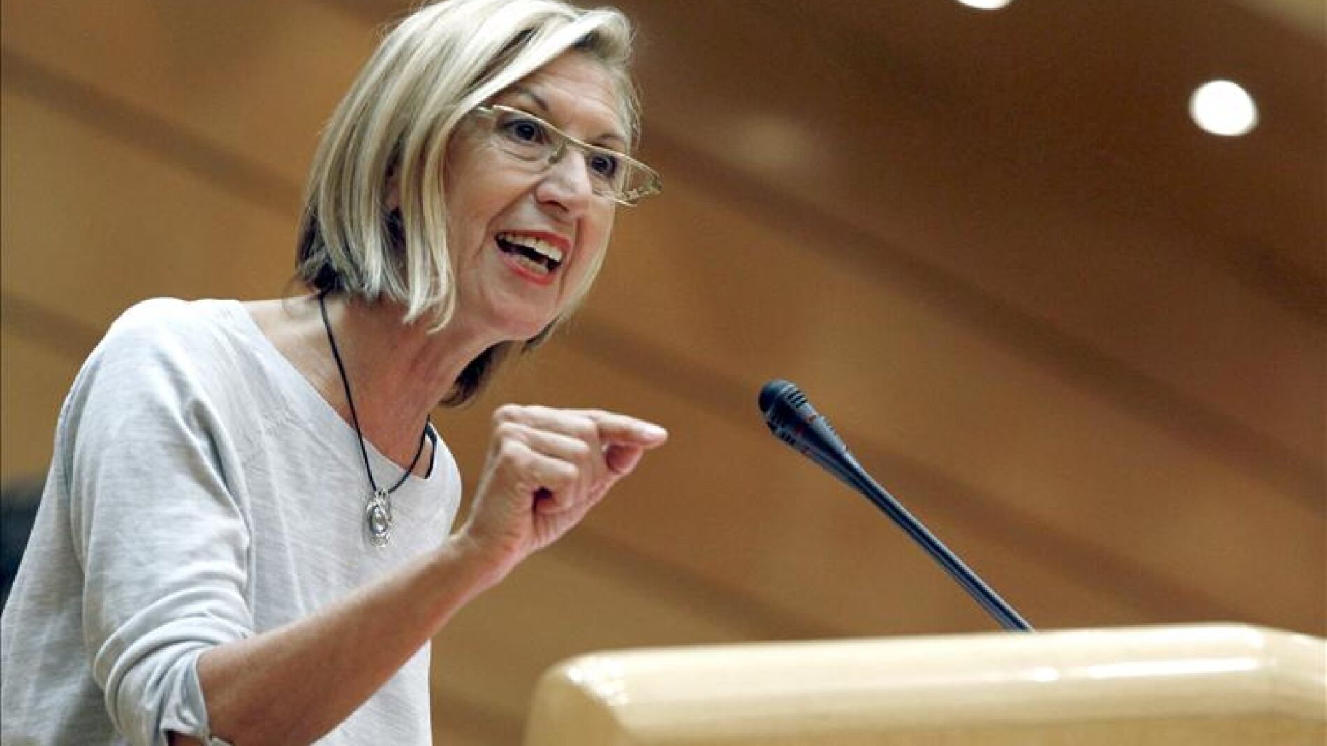 Rosa D&iacute;ez se dirige a los diputados en el Senado