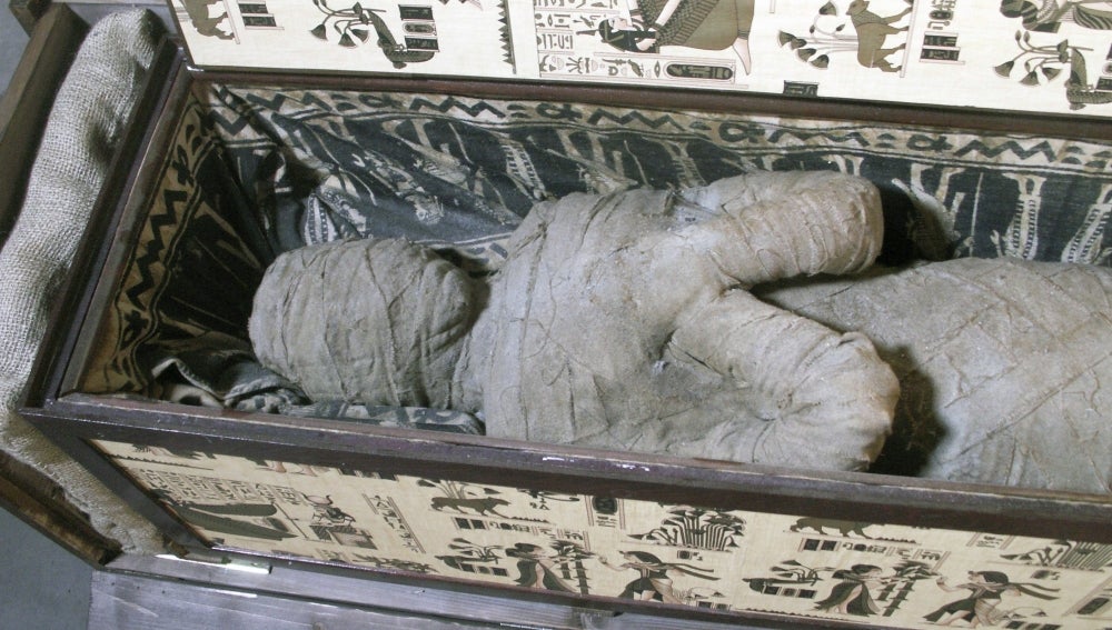 Momia en el interior de un sarcófago