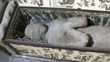 Momia en el interior de un sarcófago