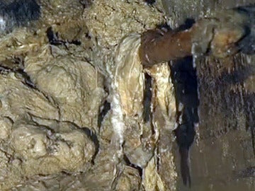 15 toneladas de masa grasa en las cloacas