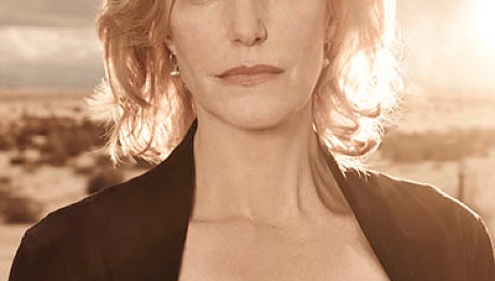 Skyler White (Anna Gunn)