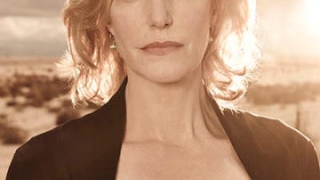 Skyler White (Anna Gunn)