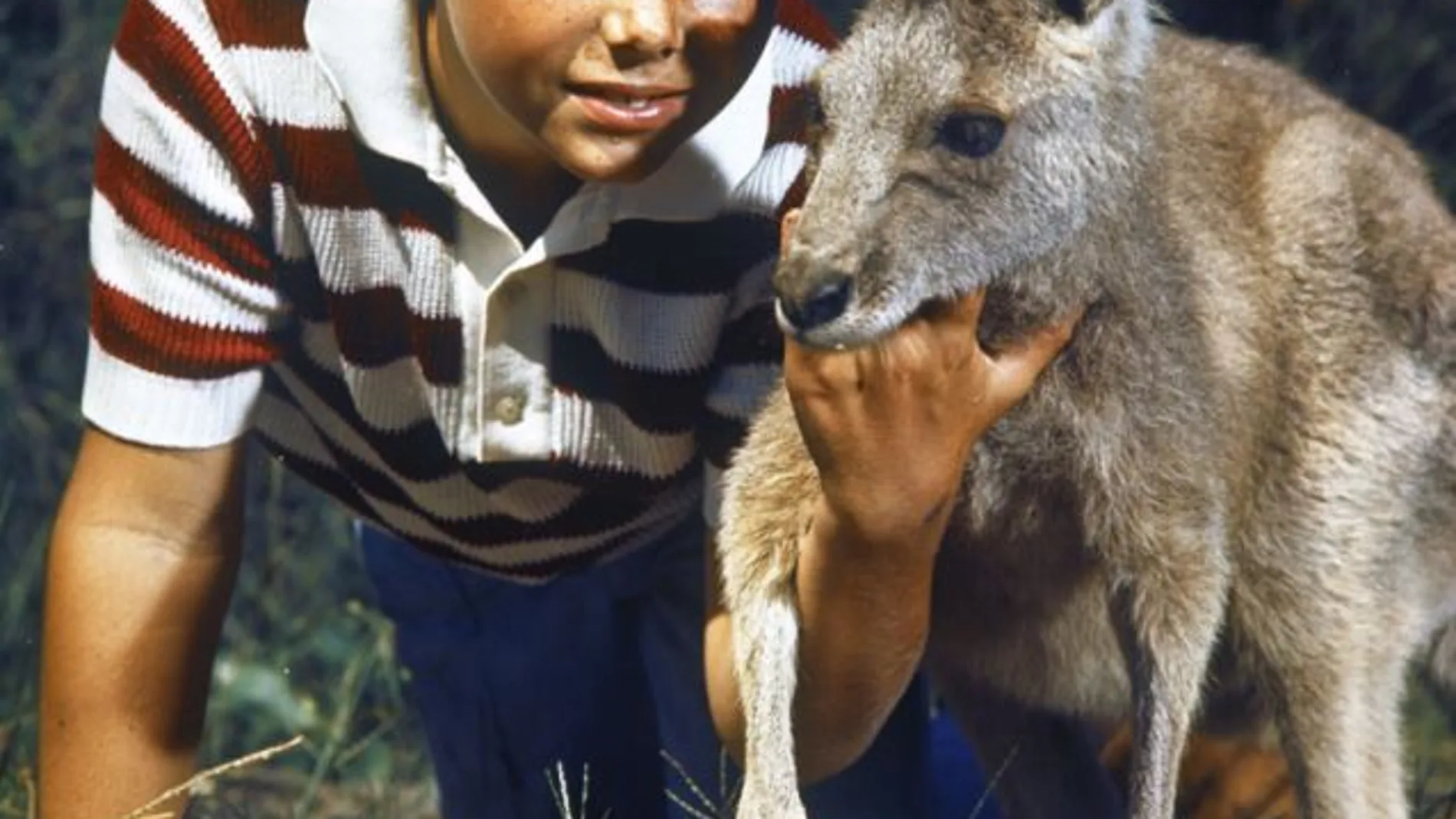 Simon Kruger y Skippy tras el rescate