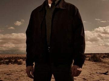 Walter White (Bryan Cranston) 