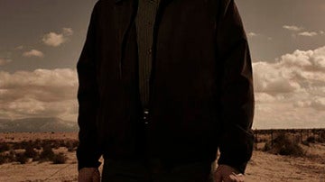 Walter White (Bryan Cranston)