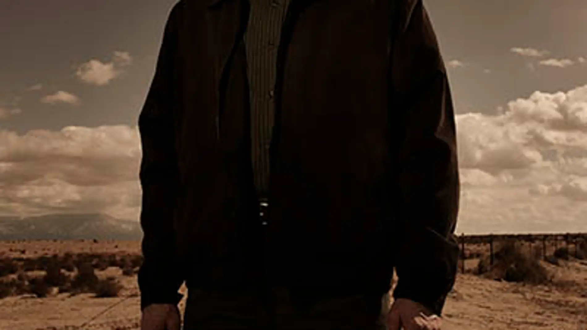 Walter White (Bryan Cranston) 