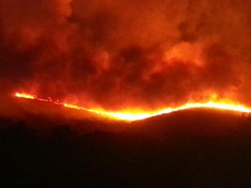 Incendio forestal en Mallorca