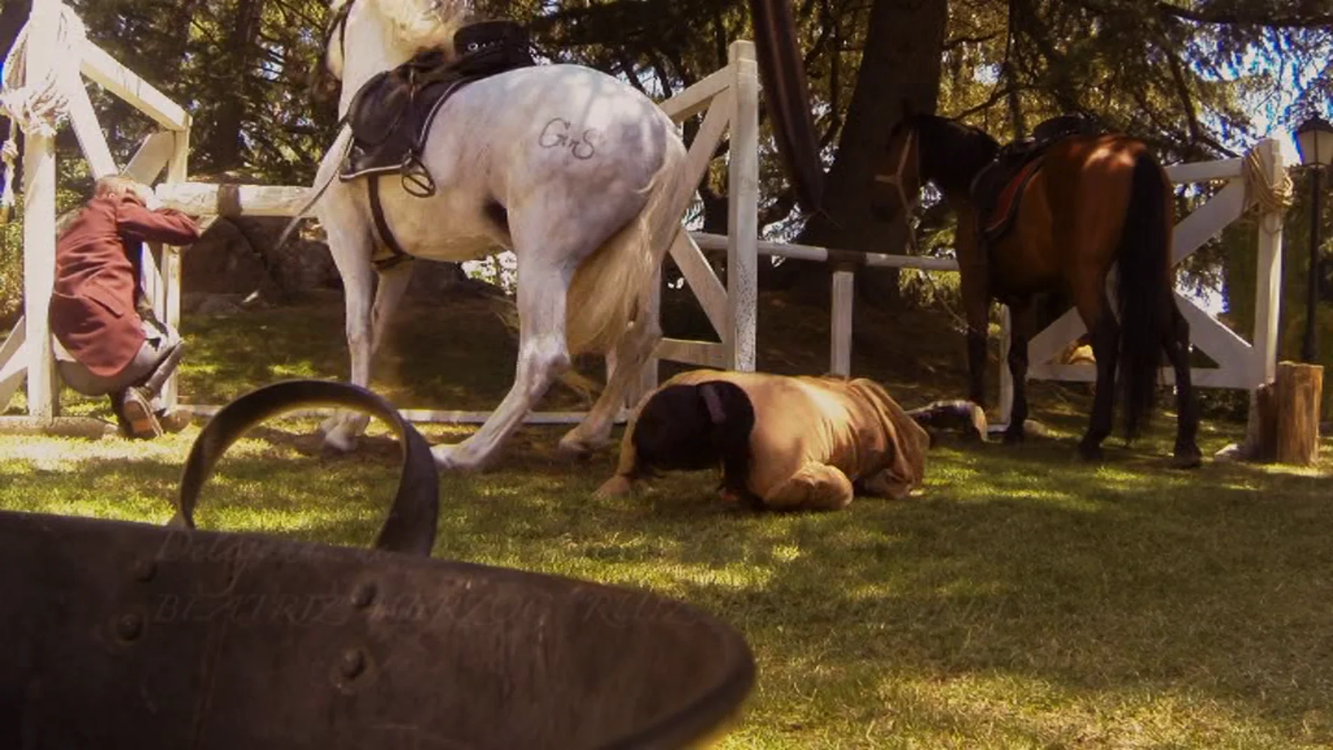 El caballo se ceba con Fernando