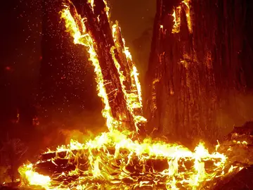 El fuego arrasa Yosemite El fuego arrasa Yosemite