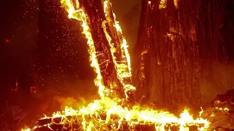 El fuego arrasa Yosemite El fuego arrasa Yosemite