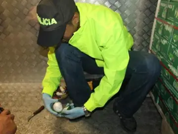 La droga en los limones La droga en los limones